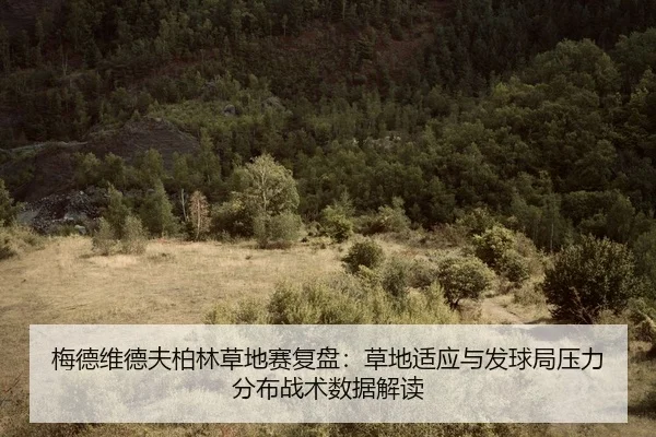 梅德维德夫柏林草地赛复盘：草地适应与发球局压力分布战术数据解读