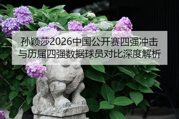 sun-ying-sha-zhong-guo-gong-kai-sai-si-qiang-chong-ji-yu-li-jie-si-qiang-shu-ju-qiu-yuan-dui-bi-shen-du-jie-xi-2-596.jpg